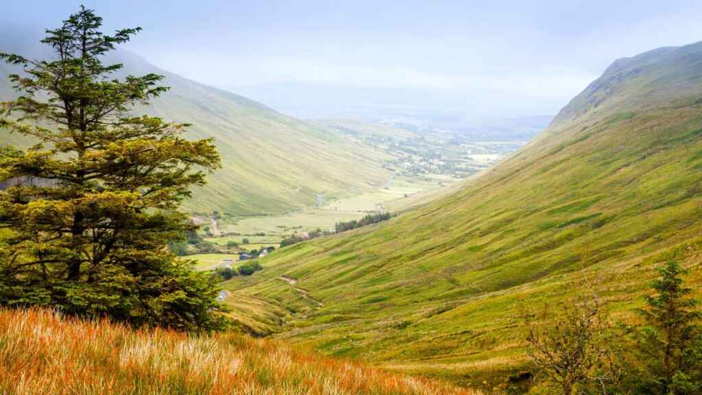 Ireland in the fall. Rugged landscape at Glengesh Pass, County Donegal, Ireland. Beach with cliffs, green rocky land with sheep on foggy cloudy day. Wild Atlantic Way region.