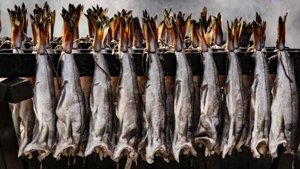 Fresh Arbroath Smokies in Oban