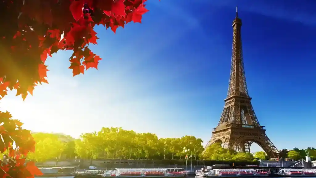 The Eiffel Tower with autumn leaves on a clear blue sky day