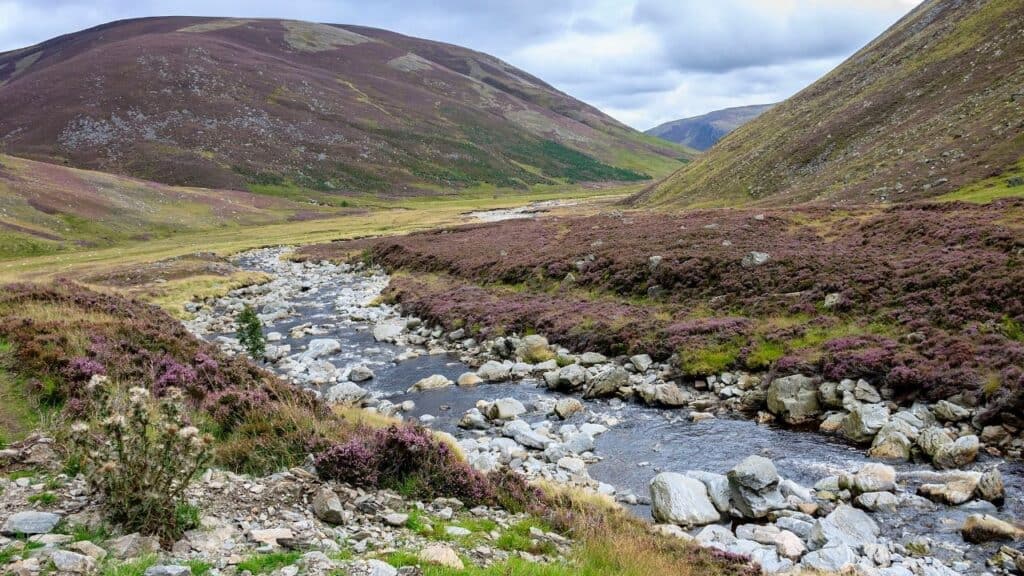 Cairngorms National Park Scotland