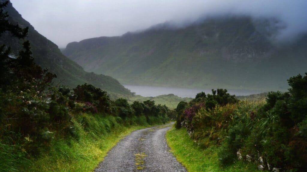 Road in Dingle, Ireland