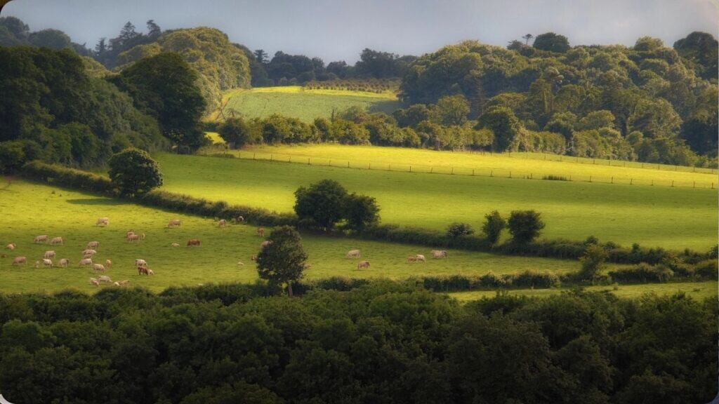 The Battle Of The Boyne field in County Louth, Slane Castle, Ireland