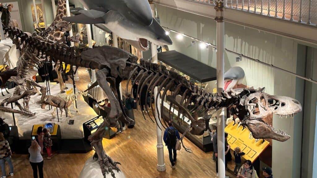 The National Museum of Scotland in Edinburgh