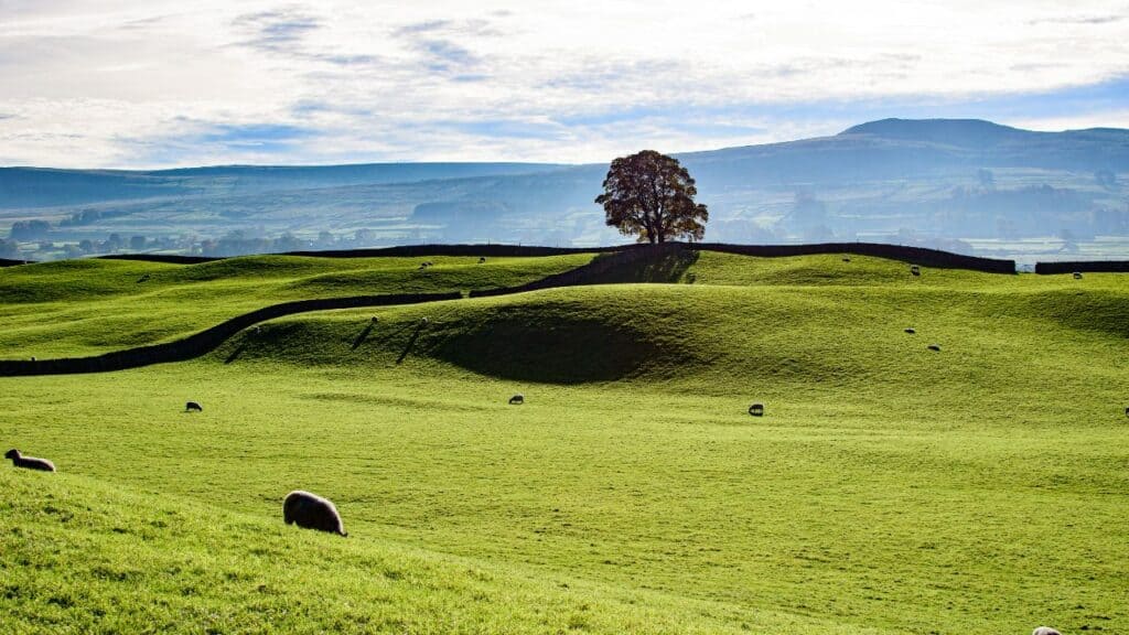 Yorkshire Dales