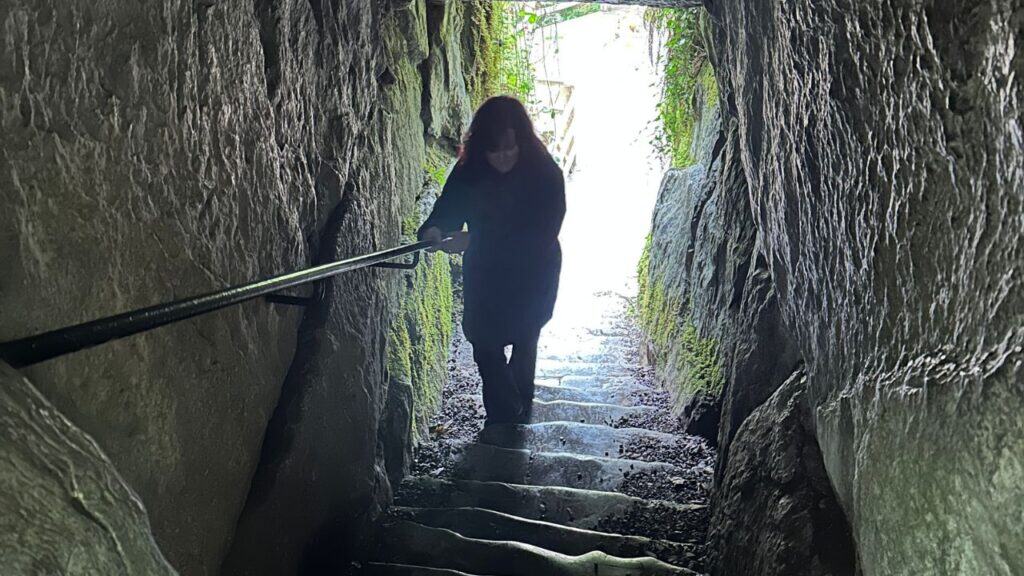 Blarney Castle Gardens